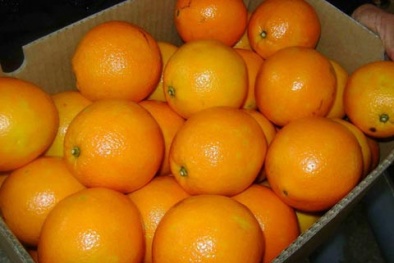 Mẹo chọn hoa quả tươi, an toàn cho gia đình