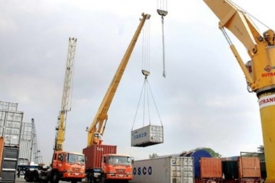 Bắt đầu có doanh nghiệp quy mô lớn phá sản