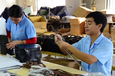 Những thông tin mới nhất về tiền lương năm 2015