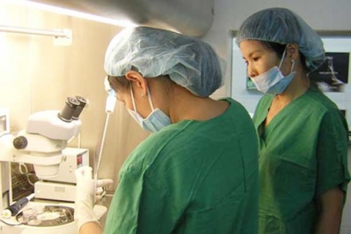 Mua bán trứng phụ nữ và những hệ lụy khó lường