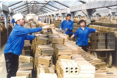 Năng suất lao động Việt Nam: Bức tranh màu xám