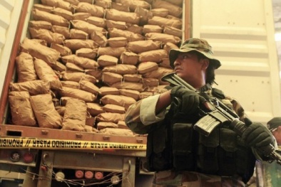 Bắt giữ một máy bay chở gần 400kg cocaine tới Brazil