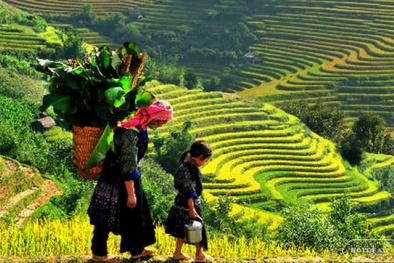 Việt Nam lọt top 20 quốc gia đáng sống nhất thế giới