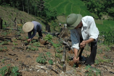 Muốn giảm nghèo bền vững cần gắn với tăng trưởng xanh