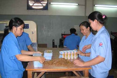 Nghỉ Tết dài ngày, tăng hiệu quả công việc