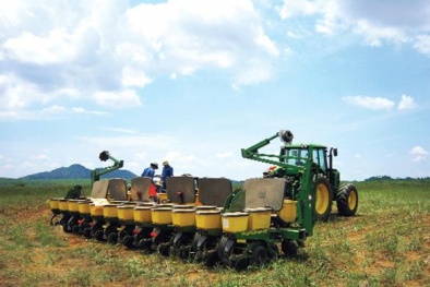 Chính phủ khuyến khích doanh nghiệp đầu tư vào nông nghiệp, nông thôn