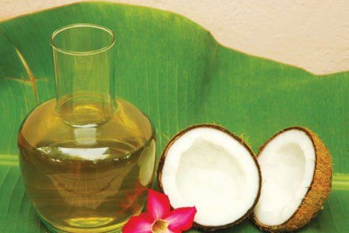Kết quả hình ảnh cho hình ảnh dầu dừa