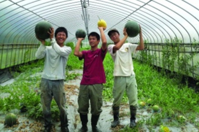 Người nghèo ở Việt Nam sang Hàn Quốc kiếm 20 triệu đồng mỗi tháng