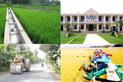 Thủ tướng công nhận hai huyện thuộc Đồng Nai đạt chuẩn nông thôn mới