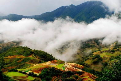 Top 5 địa điểm du lịch trong nước Tết Ất Mùi ‘hot’ nhất