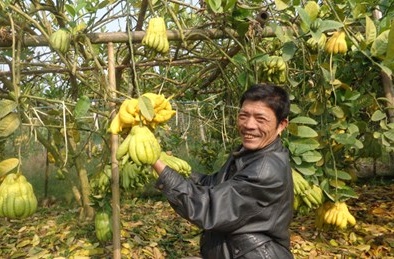 Thành triệu phú, tỷ phú nhờ phật thủ