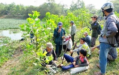 Mua rùa với giá tiền triệu để... nấu cao