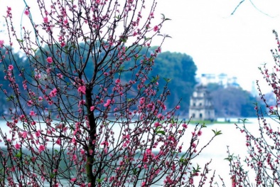 Thời tiết Tết Nguyên đán 2015: Miền Bắc mưa, rét vào ngày mùng 1 Tết