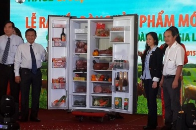 Bầu Đức thích nuôi bò hơn làm bất động sản