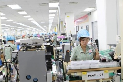 Quốc gia nào chuộng điện thoại 'Made in Việt Nam'?