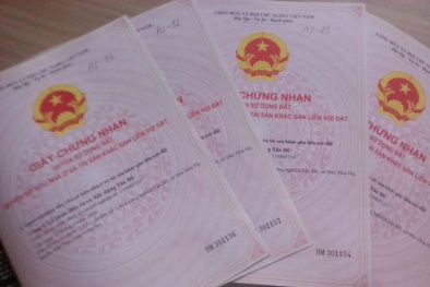 Tp.HCM: Trả đủ tiền nhưng sổ hồng chung cư vẫn chưa đến tay
