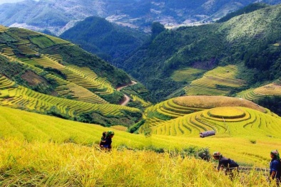 Kinh nghiệm du lịch Sapa từ A đến Z dịp 30/4