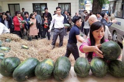 Bao giờ mới chấm dứt cảnh Thứ trưởng đi bán dưa, bán gạo?
