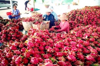 Thứ trưởng Bộ Công Thương: Tiêu thụ nông sản, không để nông dân 'tự bơi'!