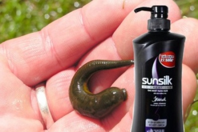 Khách hàng ‘tố’ có đỉa trong dầu gội đầu Sunsilk bồ kết