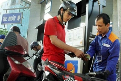 Kiểm toán: Doanh nghiệp xăng dầu lãi 'khủng' do gian lận