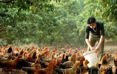 Đặc sản Bắc Giang bứt phá nhờ ứng dụng thành công KH&CN
