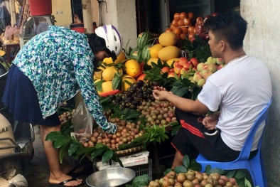 Vài chục tấn mận Trung Quốc đã qua cửa khẩu vào Việt Nam