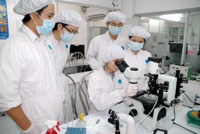 Những hành vi bị xử phạt trong hoạt động nghiên cứu khoa học