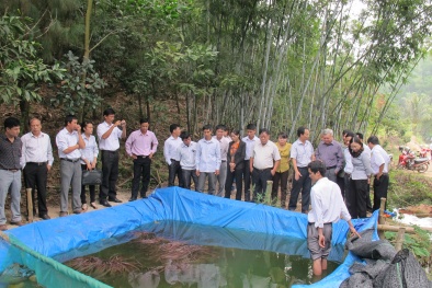 Nuôi lươn trong bể lót bạt giúp đẩy mạnh năng suất