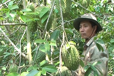 Đồng Nai: Ứng dụng kỹ thuật nâng cao hiệu quả sản xuất nông nghiệp