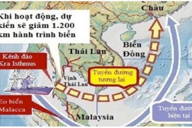 Chính phủ chấp thuận xây cảng biển 2,5 tỷ USD tại Cà Mau