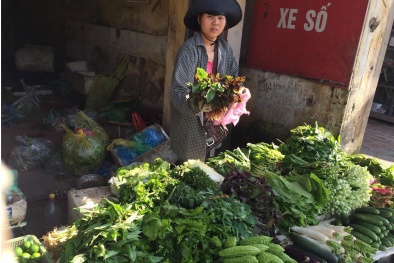 Dân buôn Hà Nội gom rau bán về Quảng Ninh lãi đậm
