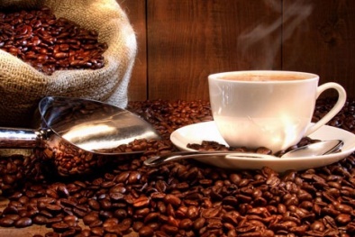 Cà phê Việt Nam vào chuỗi 21.000 cửa hàng nổi tiếng của Starbucks