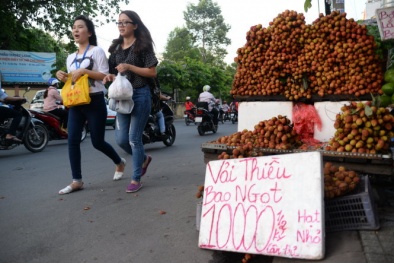 Tiêu thụ vải của Bắc Giang thắng lớn