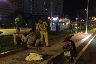 Tóm gọn tên trộm chó vừa thực hiện hành vi vào tờ mờ sáng
