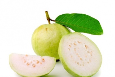 Những lợi ích vàng của trái ổi đối với sức khỏe