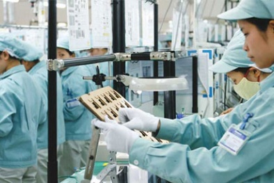Việt Nam đang là cực tăng trưởng hút nhà đầu tư ngoại