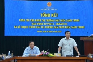 Thị trường điện cạnh tranh: Từ 2016 sẽ vận hành trên... giấy
