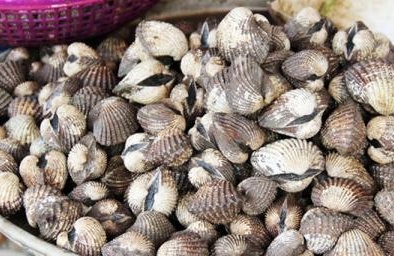 Cẩn trọng với sò huyết giá rẻ bán dọc quốc lộ 1A