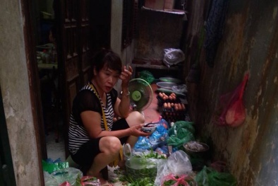 Bắp cải Trung Quốc tràn lan Hà Nội