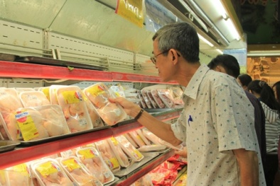 Giá đắt ‘cắt cổ’, gà Việt Nam thua đứt gà Anh, Mỹ