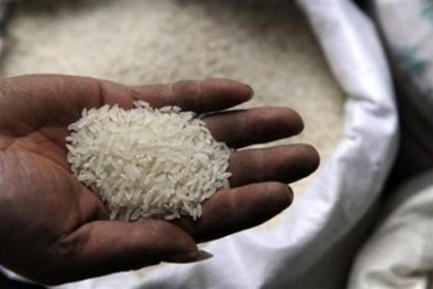 Cách phân biệt gạo giả, gạo nhựa đơn giản