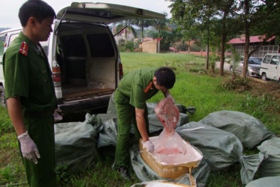 Tiêu hủy cả tấn nầm lợn thối chuẩn bị tuồn ra thị trường