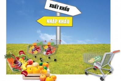 Thị trường trái cây: Nhập khẩu rộn ràng, xuất khẩu gian nan