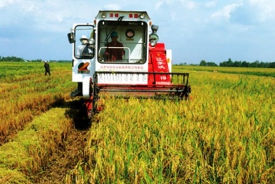 Tăng cường ứng dụng tiến bộ KHCN trong nông nghiệp