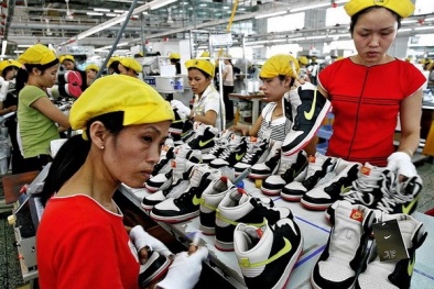 Hãng gia công Nike, Adidas chi 50 triệu USD cho nhà máy ở Việt Nam