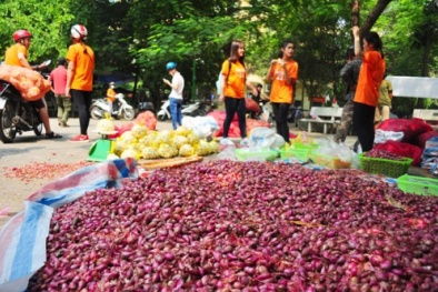 Hành, tỏi Lý Sơn bán đổ đống ở Hà Nội