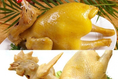 Cách nhận biết gà 'ăn' hoá chất
