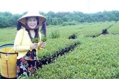 Thông tin bắt nghi can sát hại bà Hà Linh là không chính thống