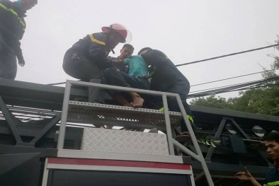 30 cảnh sát giải cứu nam thanh niên 'cố thủ' nhiều giờ trên cây cao
